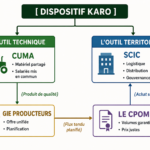 dispositif karo diagramme institutionnel
