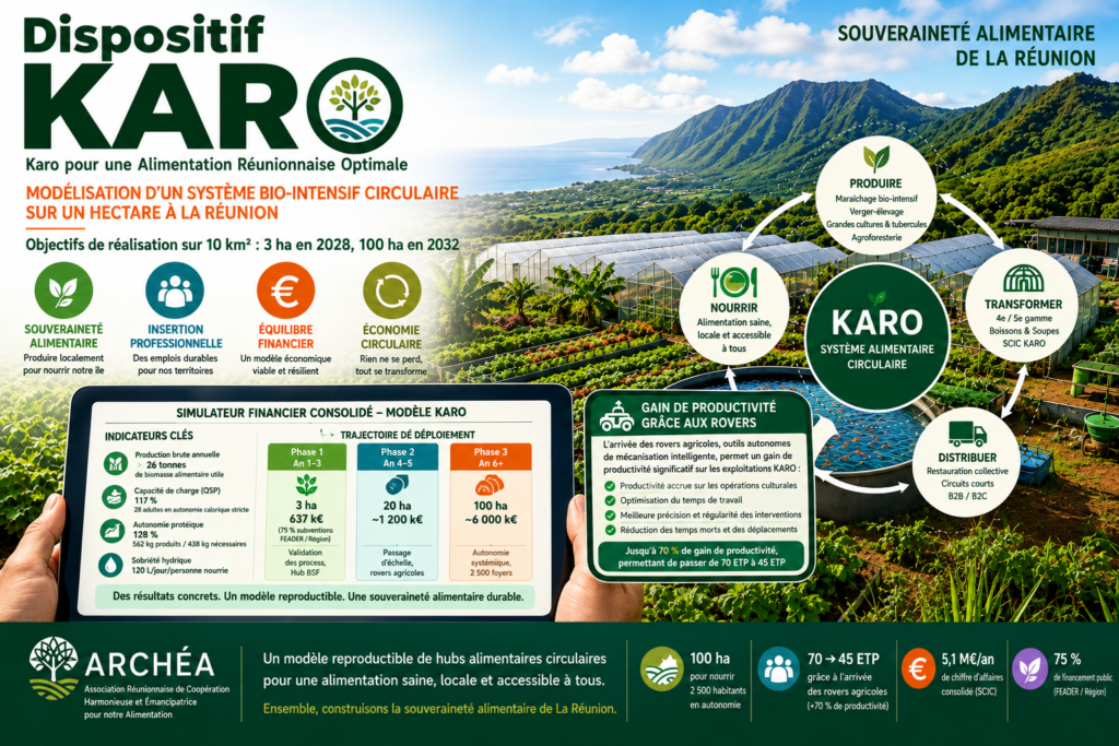 karo 06 simulateur financier